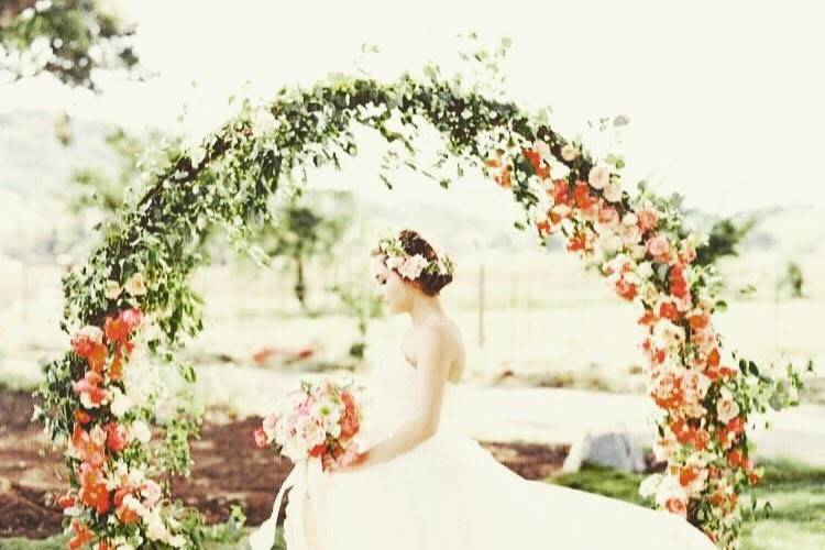 Mancino Arches/Decor