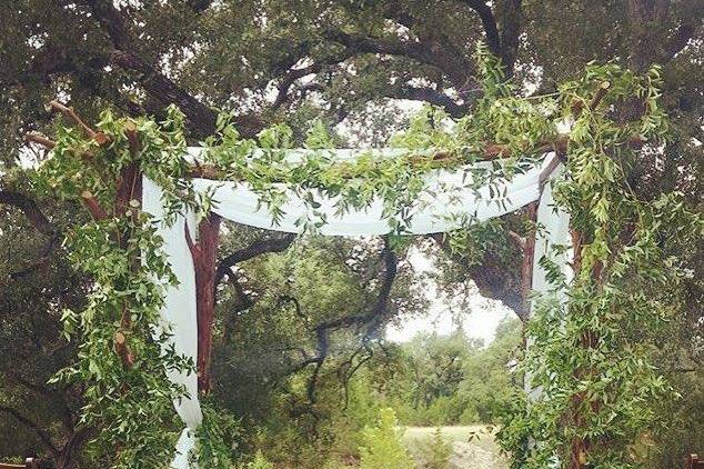 Mancino Arches/Decor