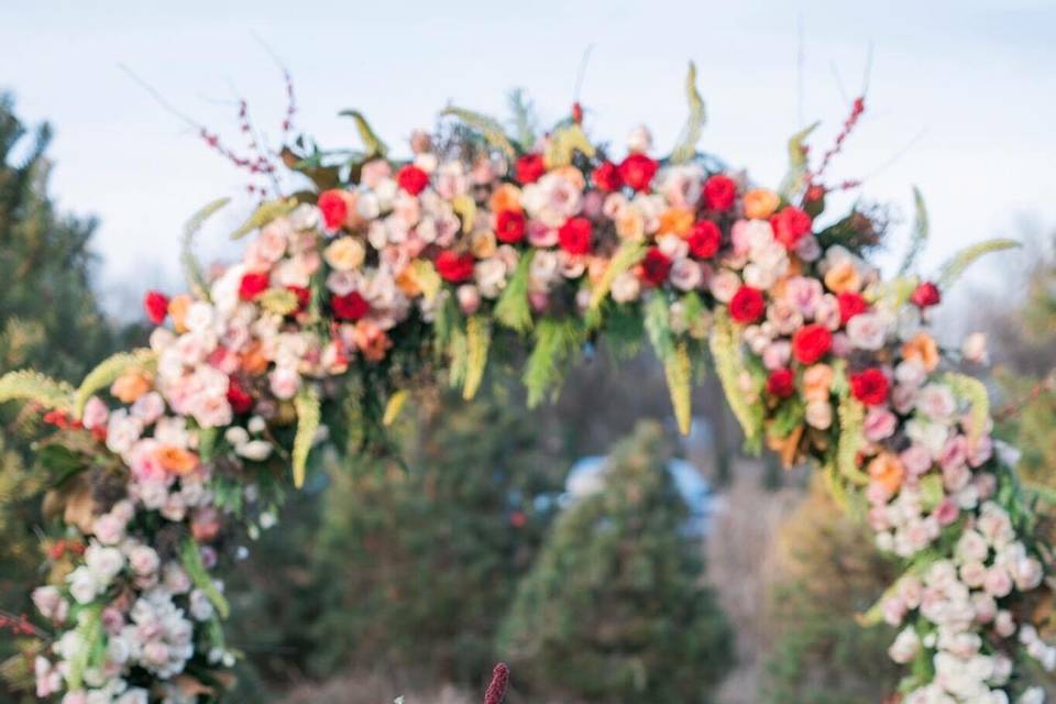 Mancino Arches/Decor