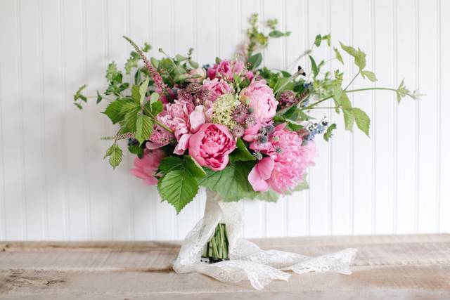 aster b. Flowers & Flower Farm