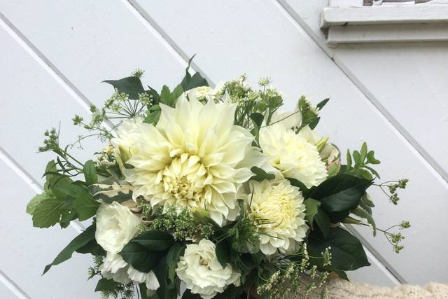 aster b. Flowers & Flower Farm