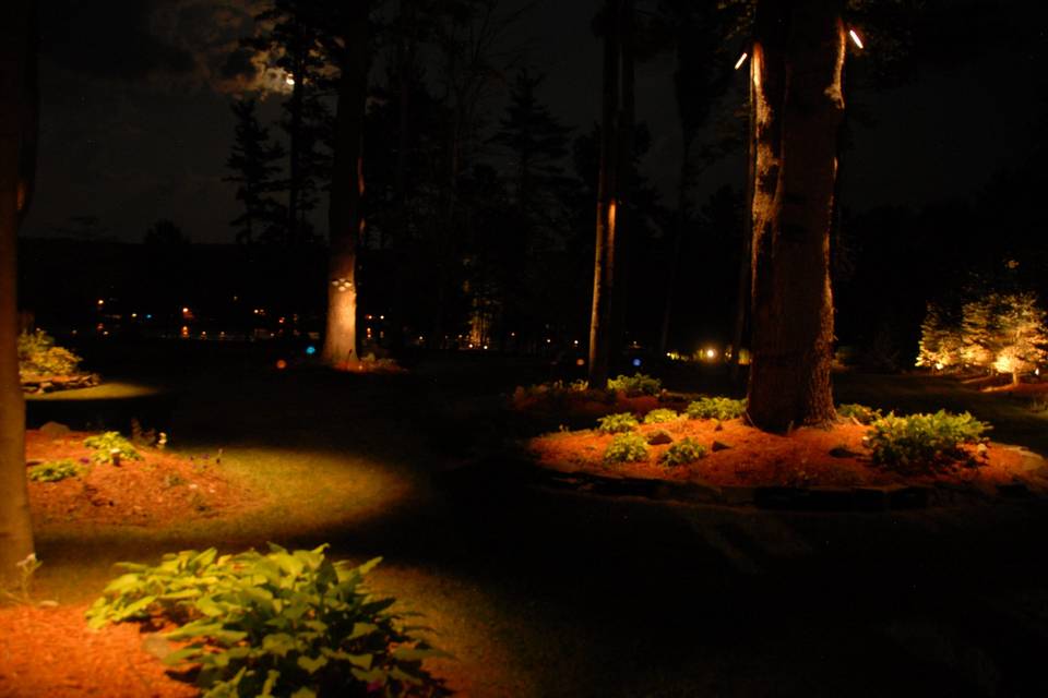 Gardens in the evening