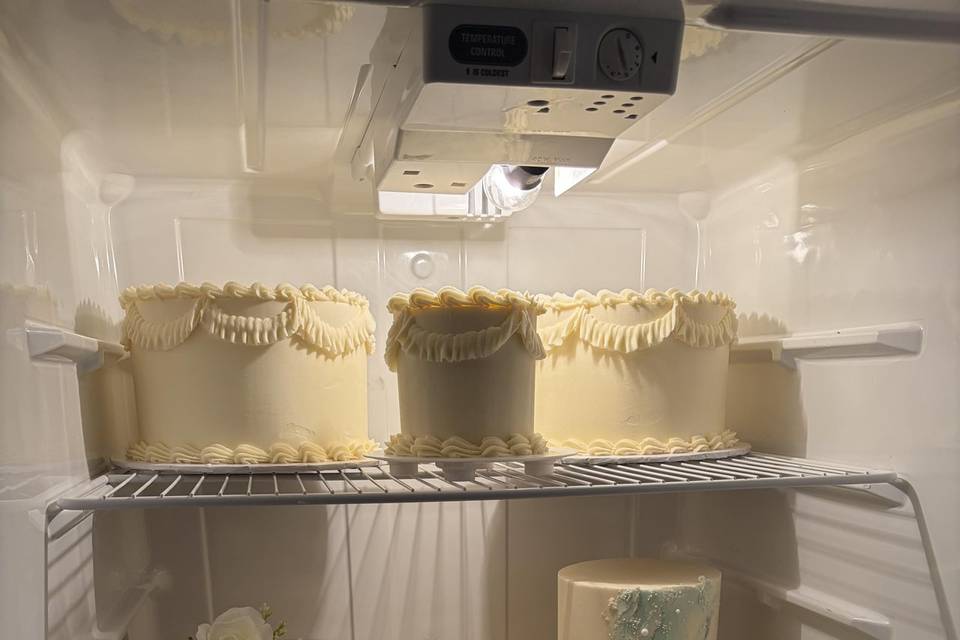 Full fridge