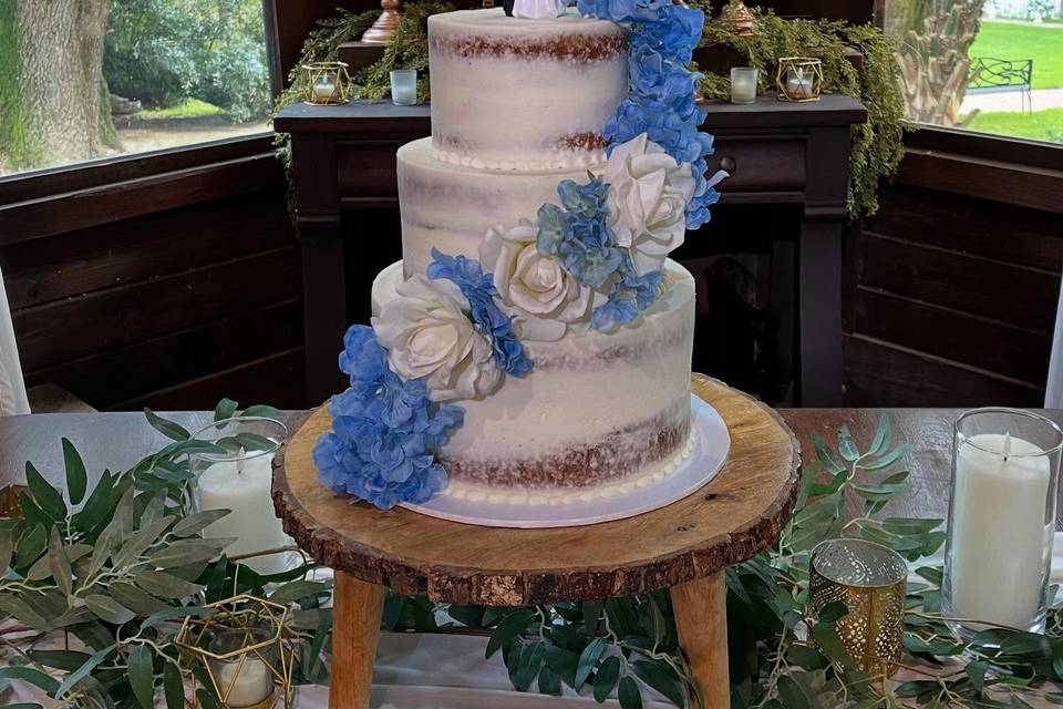 Simi naked cake