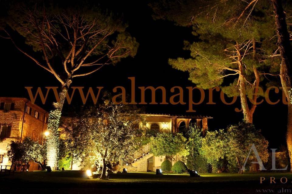 ALMA PROJECT 24/7@ Borgo San Felice - Piazza - Fairy light trees - disano - 1