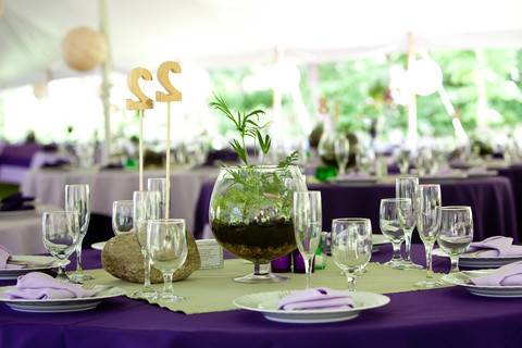 Table setup with centerpiece