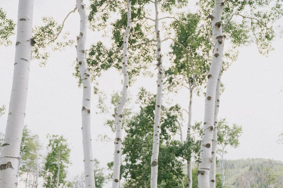 Colorado wedding photographer