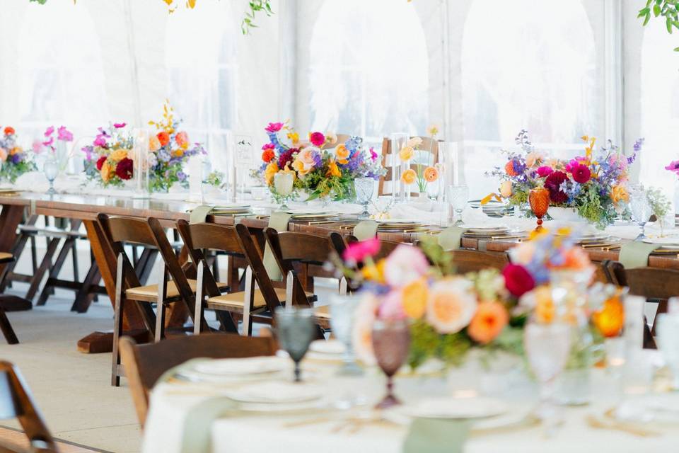 Colorado wedding photographer