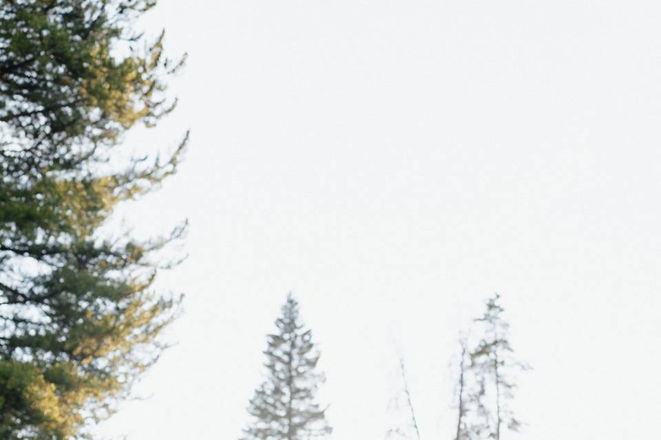 Colorado wedding photographer
