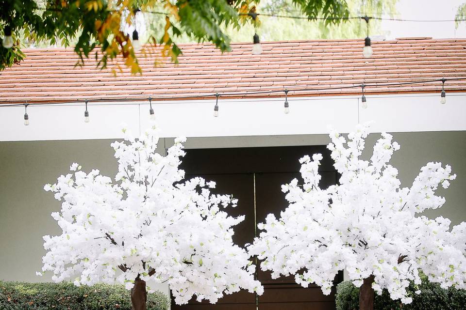 Wedding Courtyard