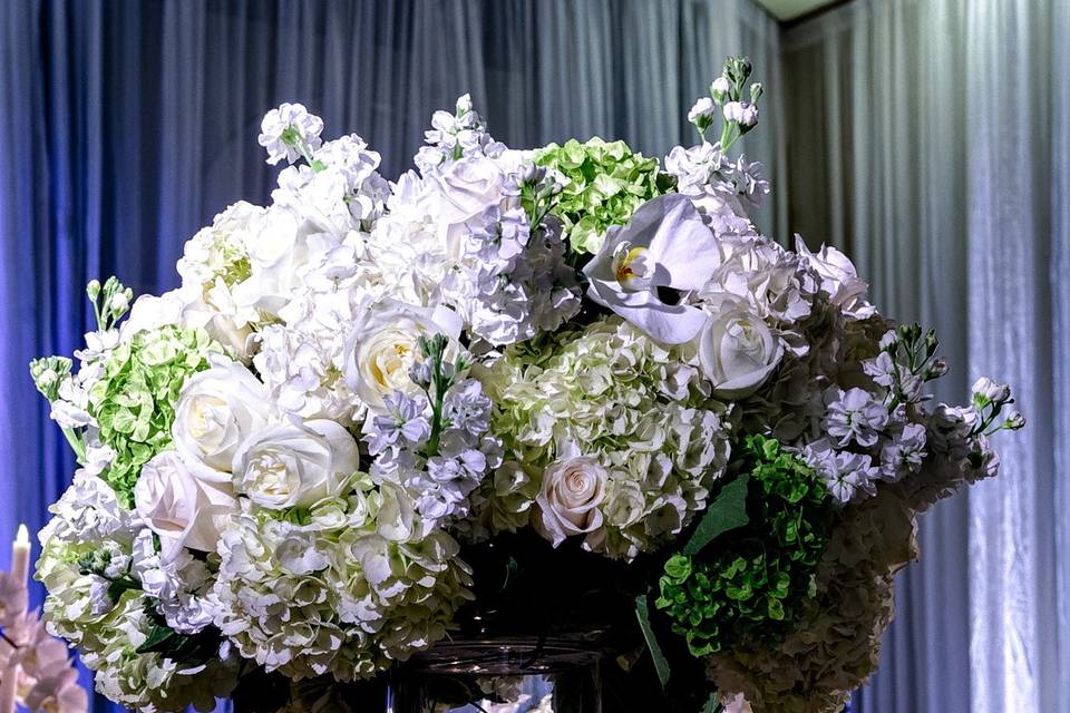 Designer's Choice - Most Popular — Stems Floral Design