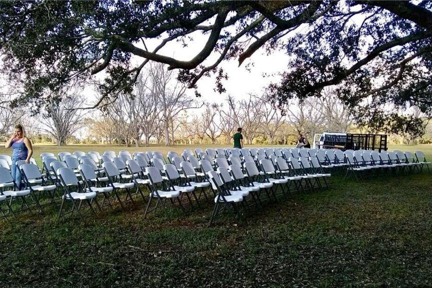 300 chairs under a tree