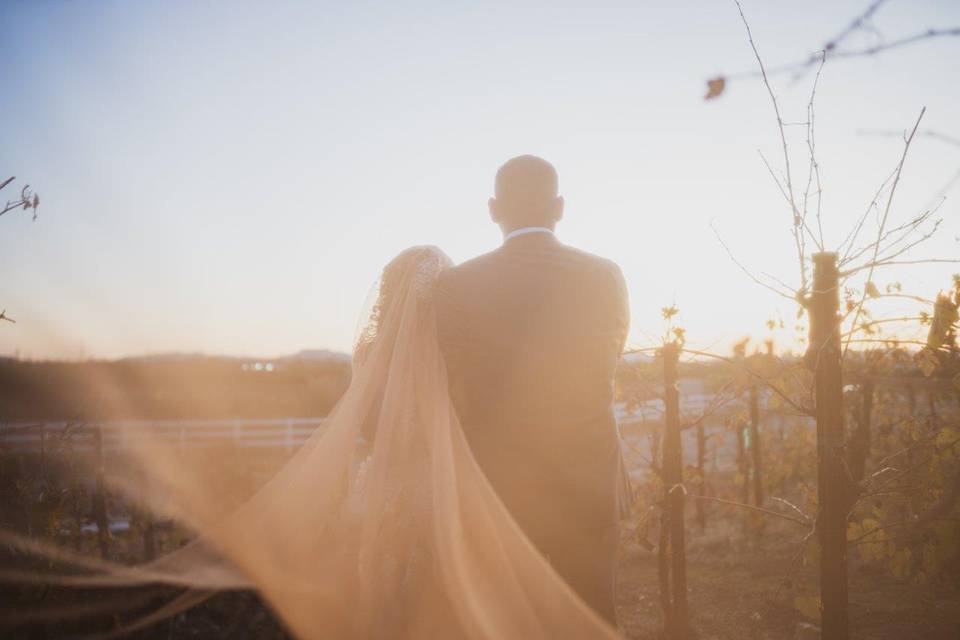 Wedding photo California