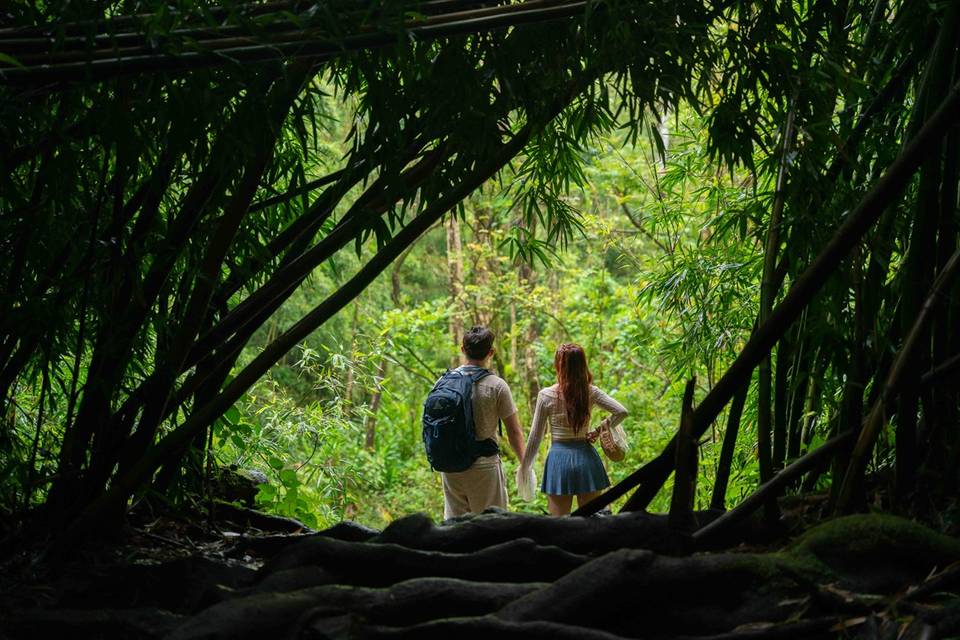 Proposal-engagement photo Maui