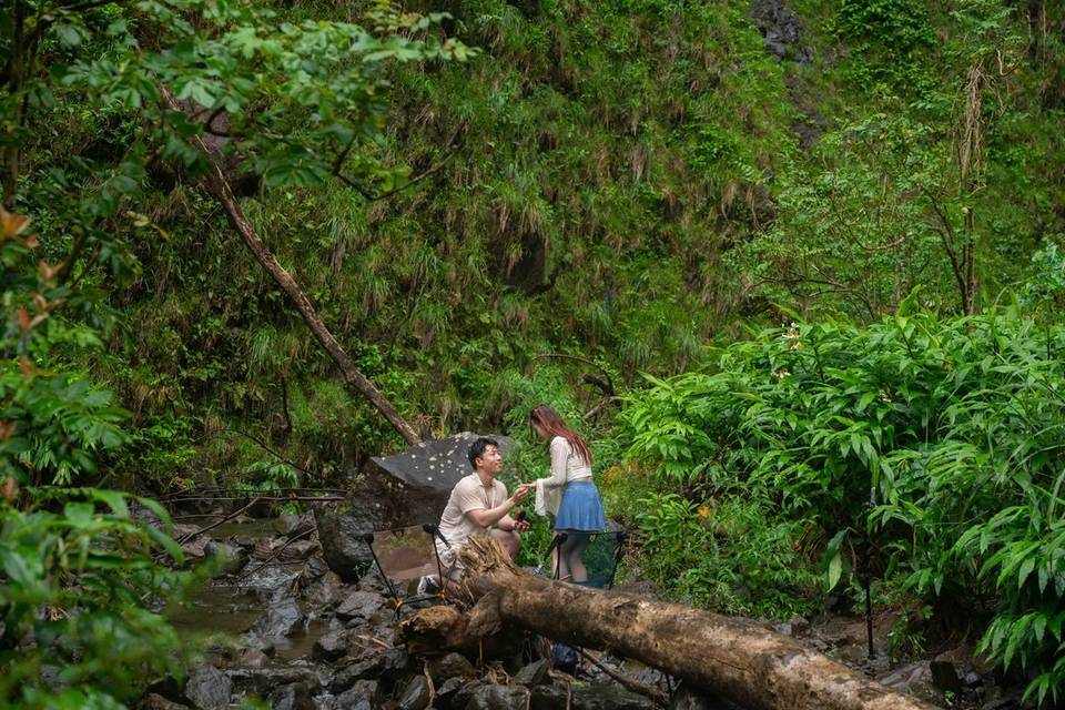 Proposal-engagement photo Maui
