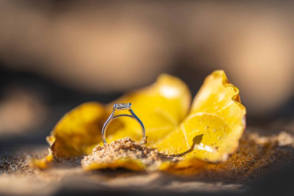 Proposal-engagement photo Maui