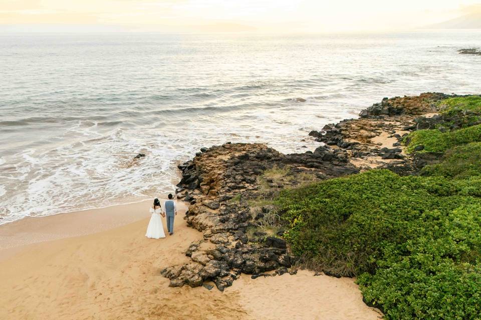 Japan Engagement on Maui