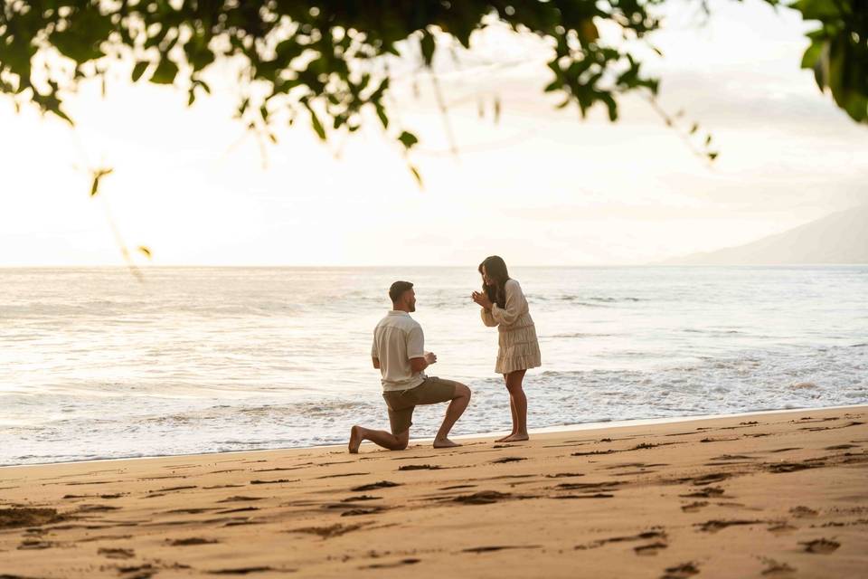Proposal-engagement photo Maui