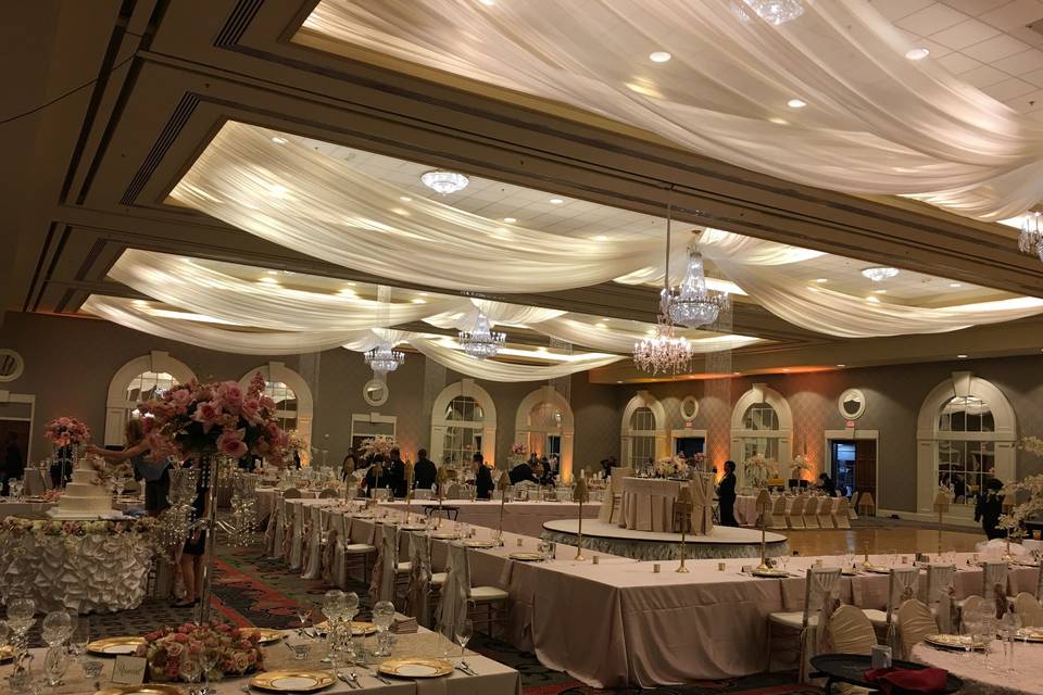 Millennium Events & Floral