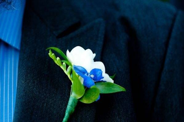 Pockets of Posy