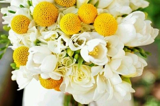 Pockets of Posy