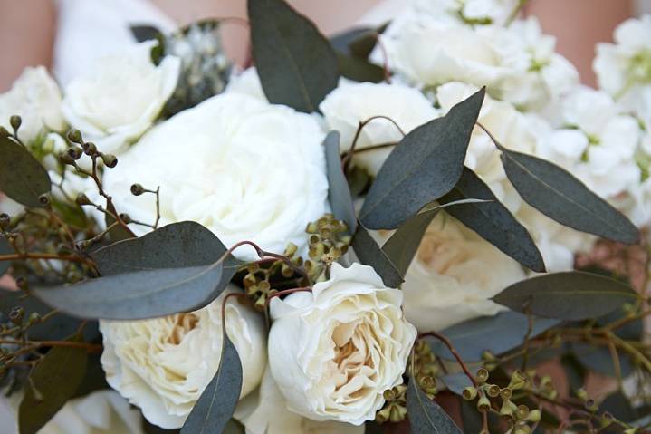 Pockets of Posy