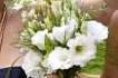Pockets of Posy