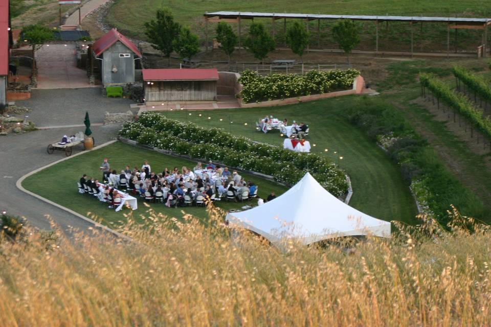 Outdoor wedding venue