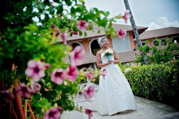 Imagen Photography & Videography