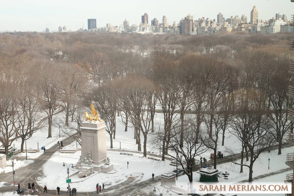 Winter in the park