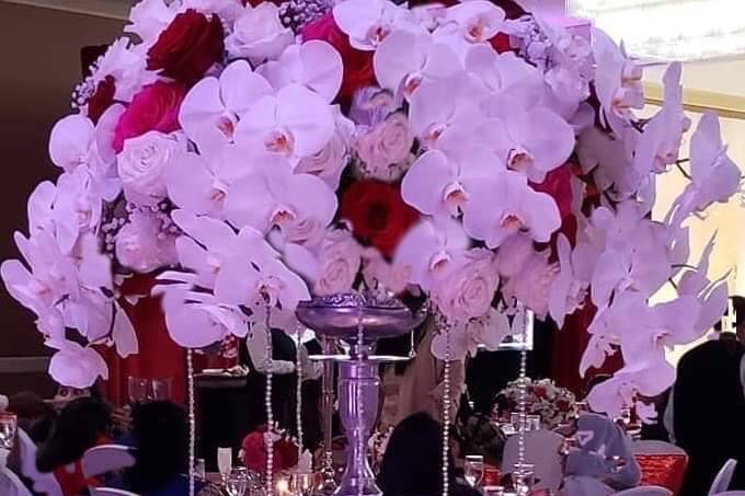 Roses. and phalaonopsis orchid