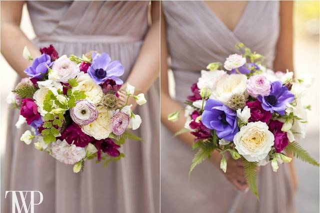 Tiffany Wayne Photography