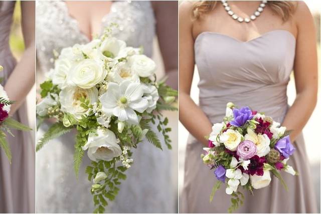 Tiffany Wayne Photography