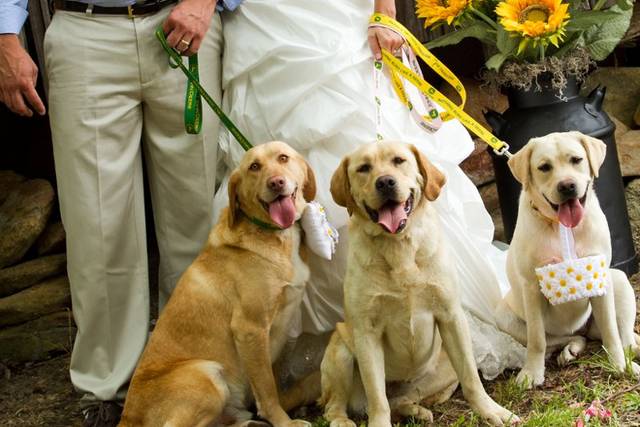 Heather LaBone Photography