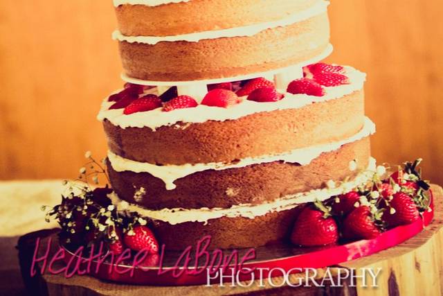 Heather LaBone Photography
