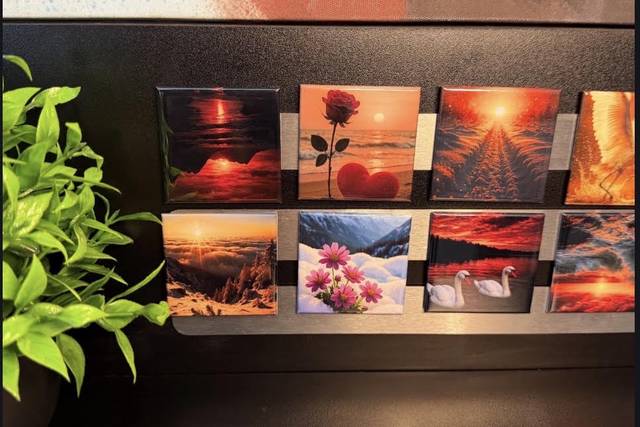 Beauty on a magnet