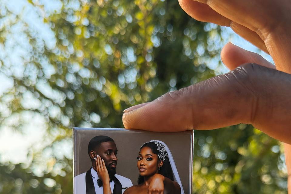 Beauty on a Magnet