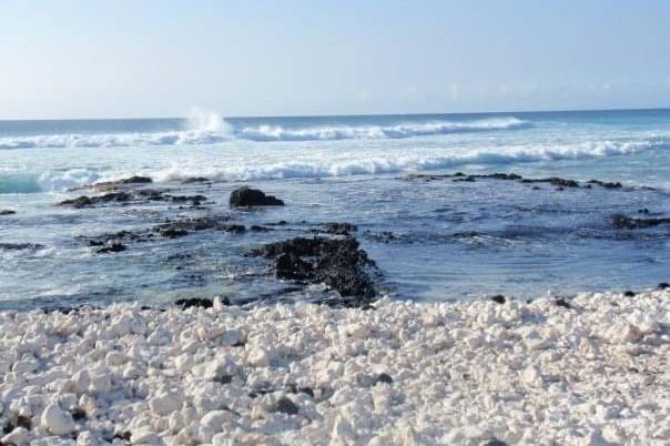 White Coral Beach Hawaii