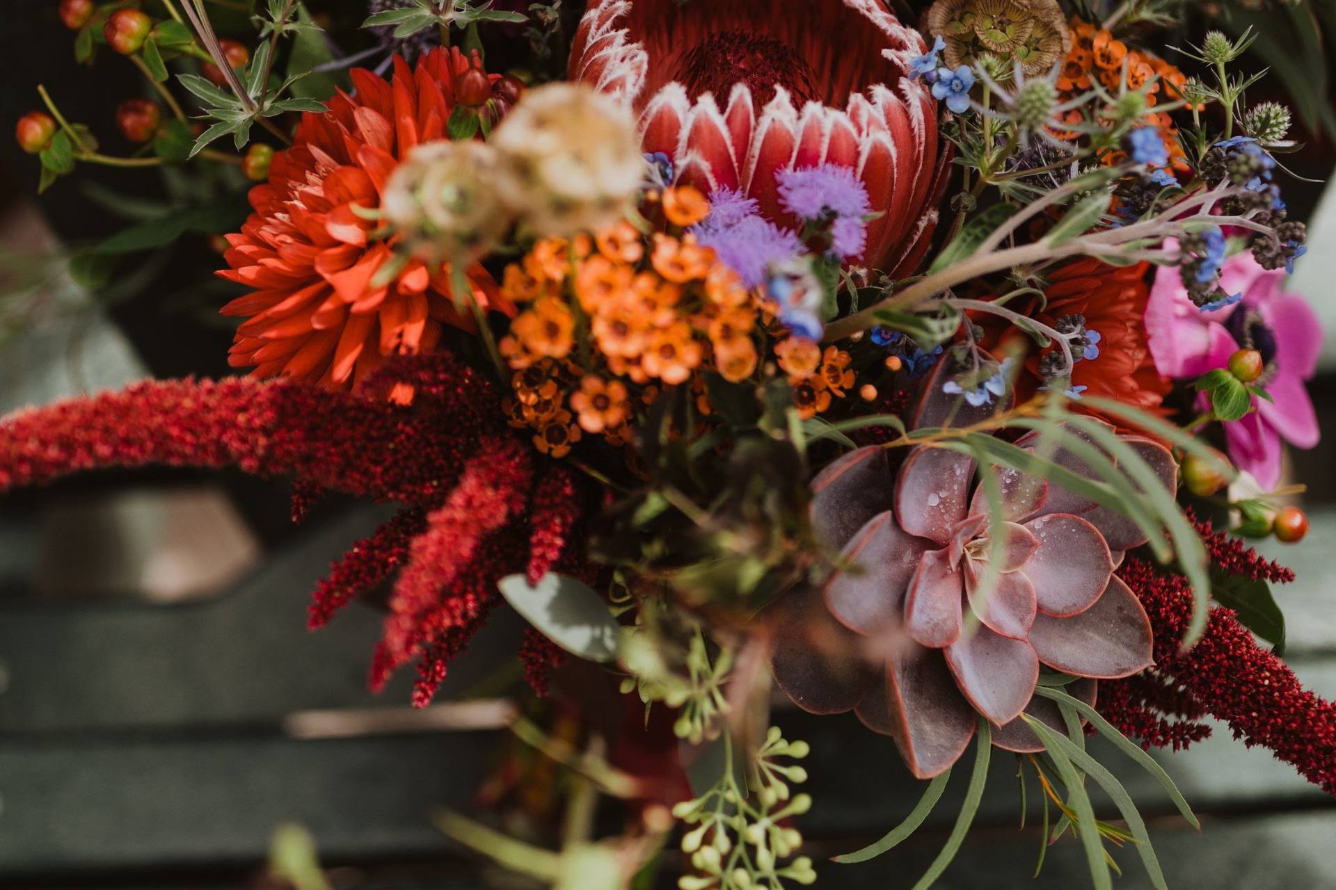 New Leaf Organics - Wedding Florists - Bristol, VT - WeddingWire