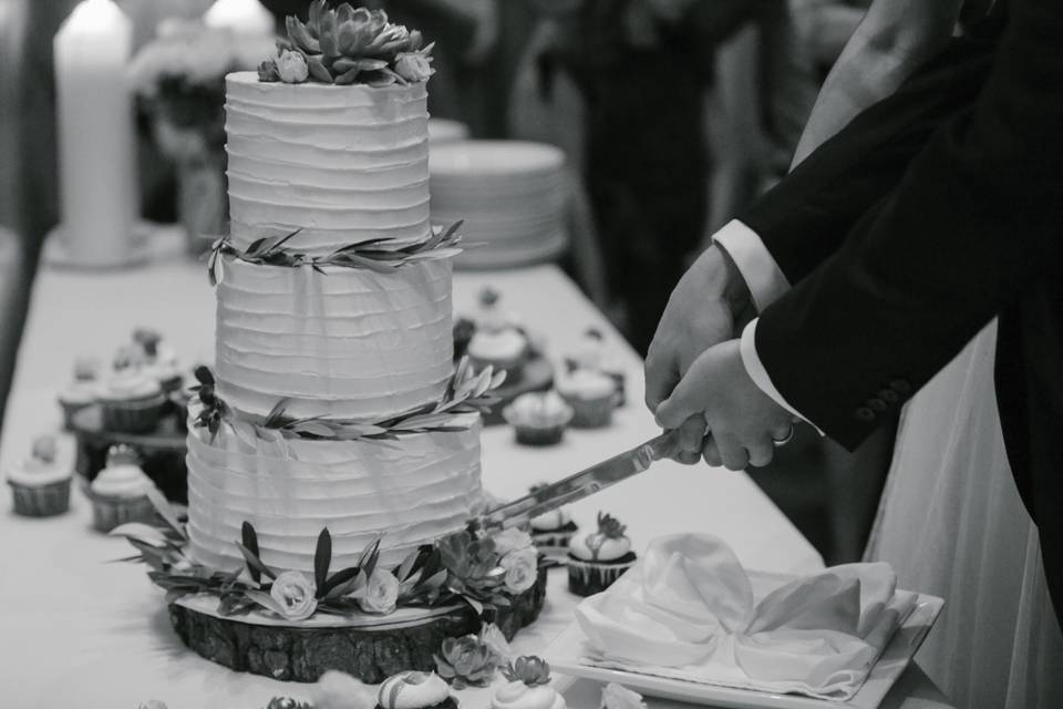 Cake Cutting