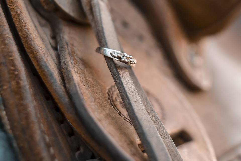 Ring on saddle