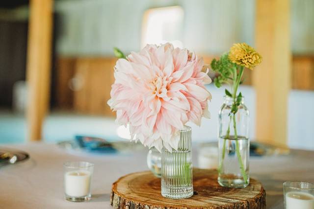 East of Shade Farm and Flowers LLC