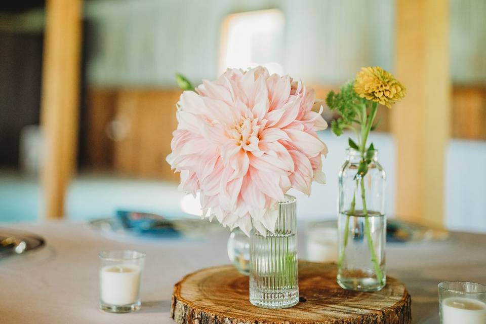 East of Shade Farm and Flowers LLC