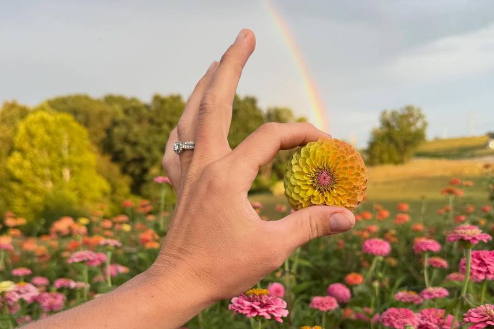 East of Shade Farm and Flowers LLC
