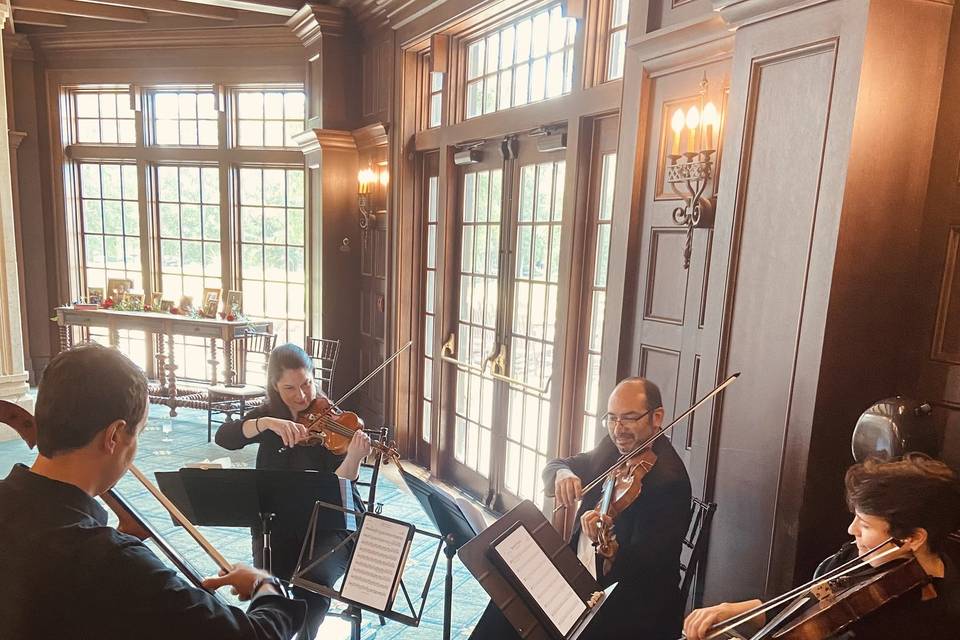 Charlotte Strings for Events