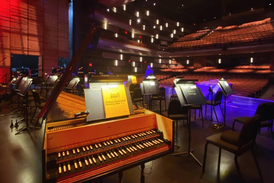 Charlotte Strings for Events