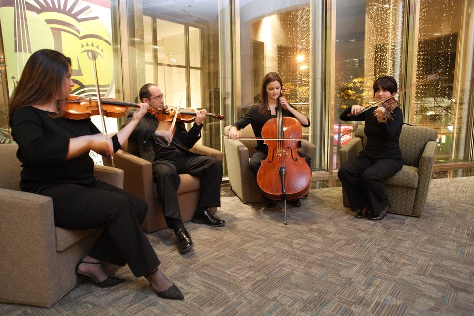 Charlotte Strings for Events