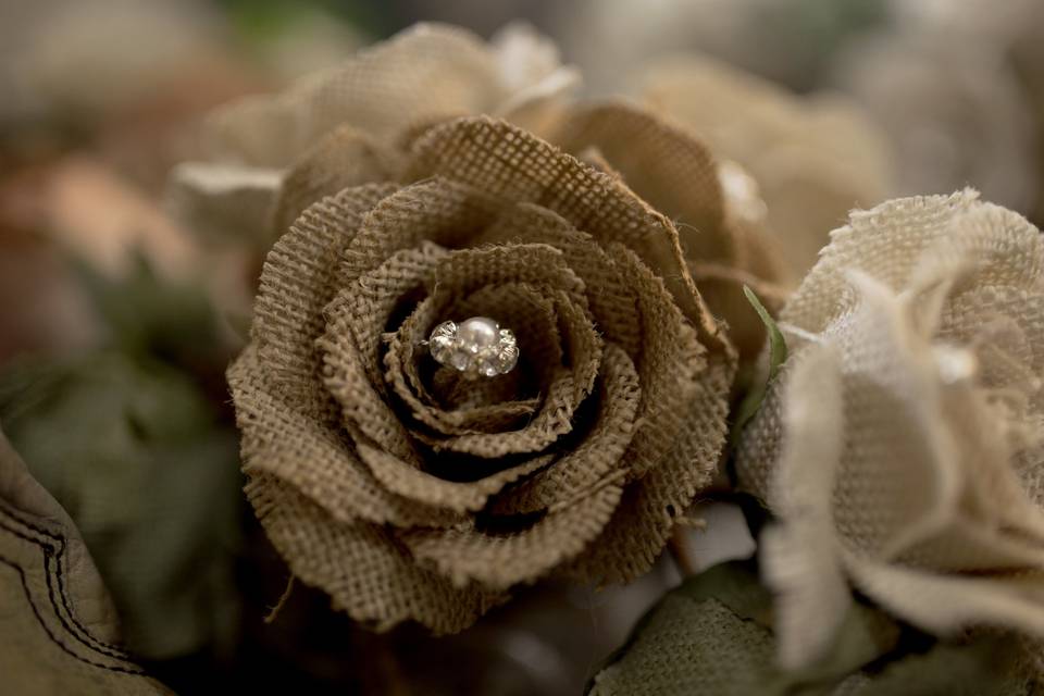 Wild Ferns Photography