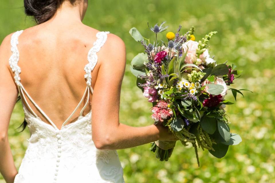 Flowers in the meadow