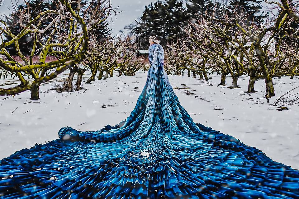 Peacock Feather Snow Dress